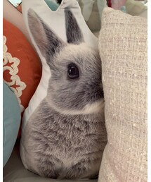 ウサギクッション | クッション/クッションカバー
