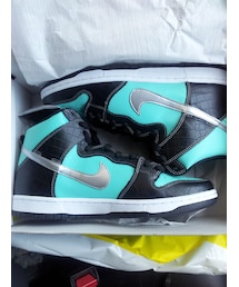 NIKE SB | NIKE DUNK HIGH PRM SB "tiffany"(スニーカー)