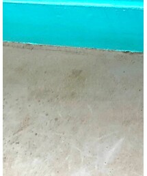 UGG | スリッポン