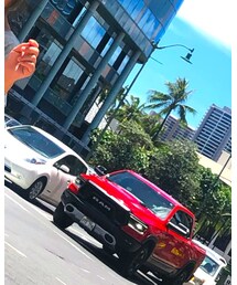 GAP | Tシャツ/カットソー