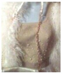 Thrifted | シャツ/ブラウス