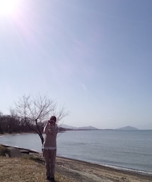 湖と木 | 光(その他)