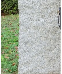 砧公園です。 | その他