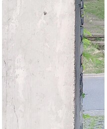 MONKI | タンクトップ