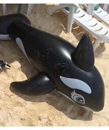 돌고래(おもちゃ)