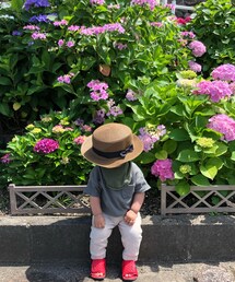 あじさいが綺麗だった💫 | その他