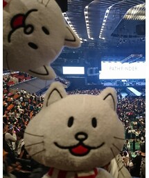 BUMP OF CHICKEN | フィギュア