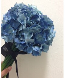 Francfranc | インテリア雑貨