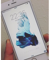 iPhone 6S | その他