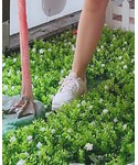 NIKE(ナイキ)の「シューズ(シューケア用品)」