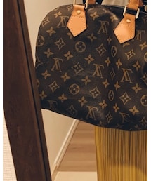 LOUIS VUITTON | ハンドバッグ