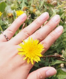 たんぽぽのゆびかざり(その他)