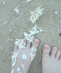 砂浜遊び | 砂浜遊び(その他)