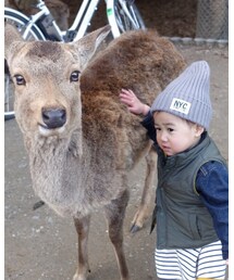 野生の鹿さんと♡ | その他
