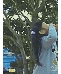 abcd | ワンピース