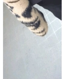 PLST | デニムパンツ