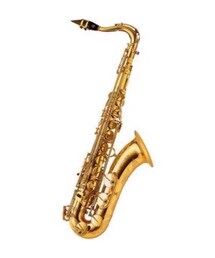 Tenor sax selmer serieⅢ(その他)