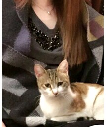 MICHAEL KORS | パーカー