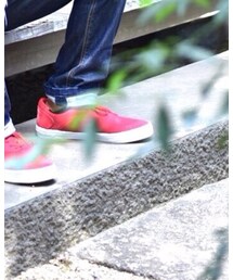 VANS | スニーカー