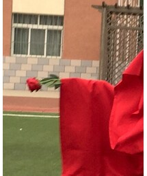 Rose | ファッション雑貨