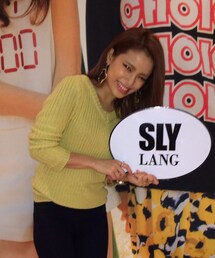 SLY LANG | ニット(ニット/セーター)