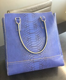 韓国で買ったパイソン柄バッグ(トートバッグ)