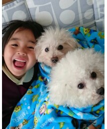 我が家の犬 | その他