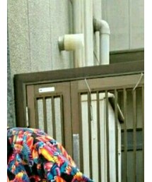 古着:Davis James | その他アウター