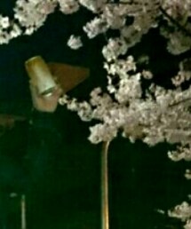 ほろ酔い | その他