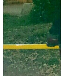 必死で上がった | その他