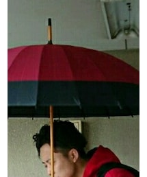 骨組み24本 | その他