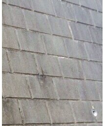 SENSE OF PLACE by URBAN RESEARCH | ニット/セーター