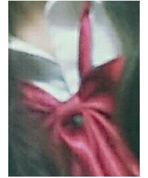 しまむら | その他