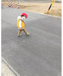 横からの姿 | その他