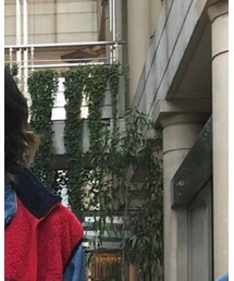 Levi's | ジャケット/アウター