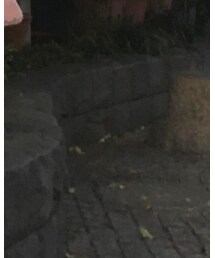 3.1 Phillip Lim | ニット/セーター