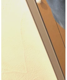 GAP | スウェット