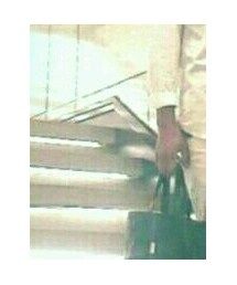 UNIQLO | シャツ/ブラウス