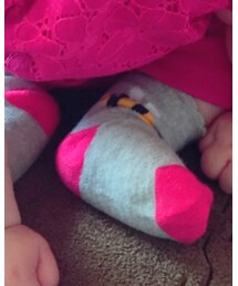 next | ソックス/靴下