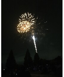 花火 | その他