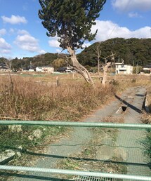 福島県 | その他