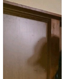 EBBETS FIELD FLANNELS | キャップ