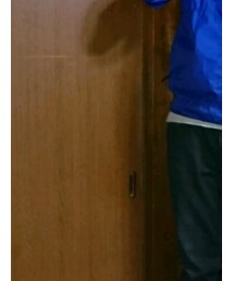 AMERICAN LIVING | ニット/セーター