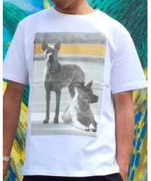 Palm Angels | Tシャツ/カットソー