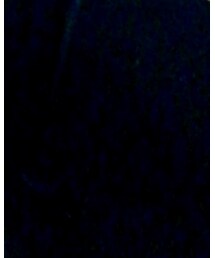 Champion | パーカー