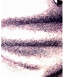 VETEMENTS | パーカー