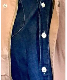 tigers | シャツ/ブラウス