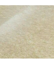 ZARA | その他パンツ