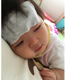 ぐでたま | その他