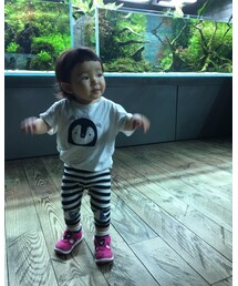 inすみだ水族館 | その他
